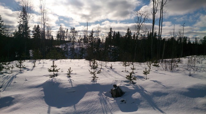 Gyllbergen i underbart väder!