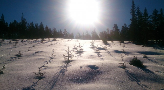 Solskensåkning i Gyllbergen