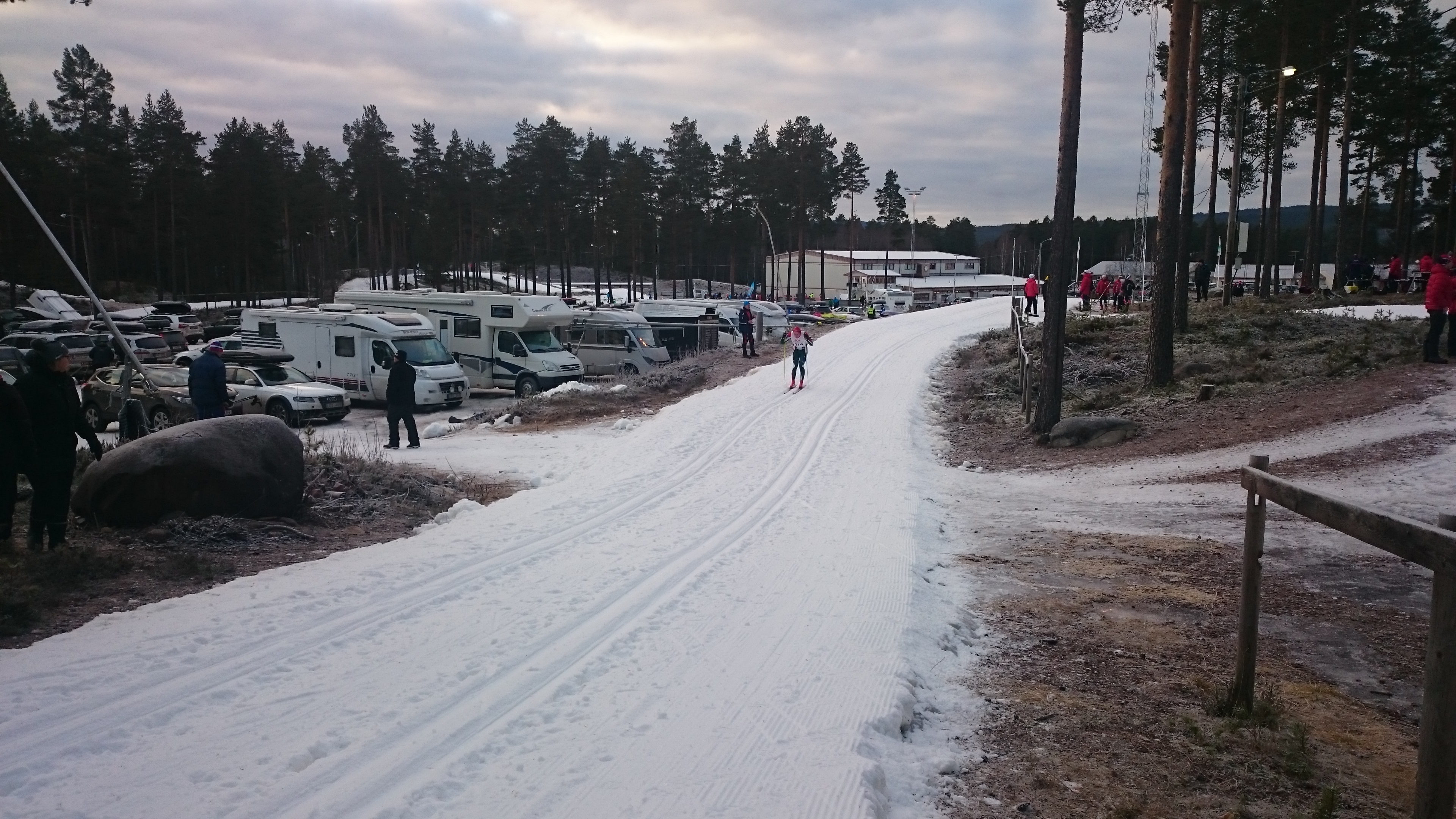 Björnjakten från sidan av spåret